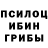 Галлюциногенные грибы Psilocybine cubensis Manzura Akhmadova