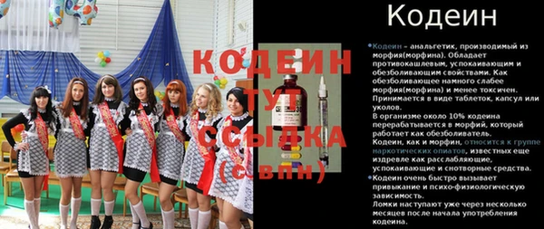 крисы Алексин