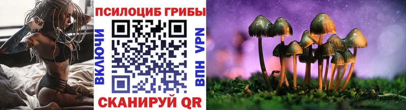Псилоцибиновые грибы мицелий  где продают   Арск 